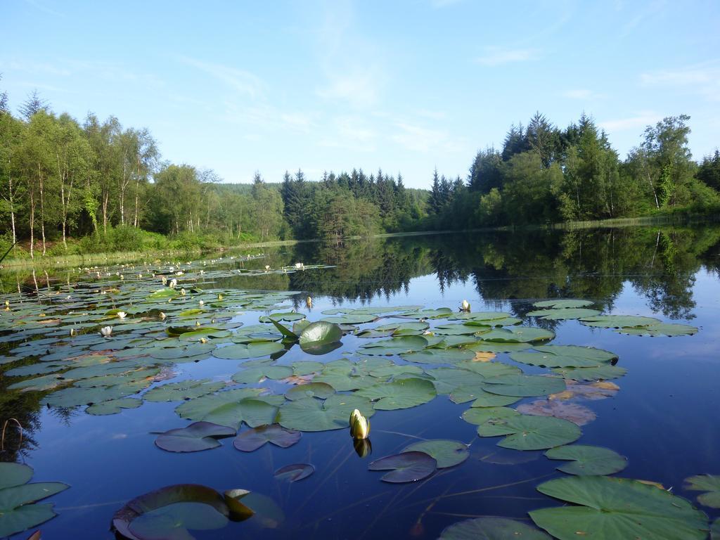 Vila Craighindle Newton Stewart Pokoj fotografie